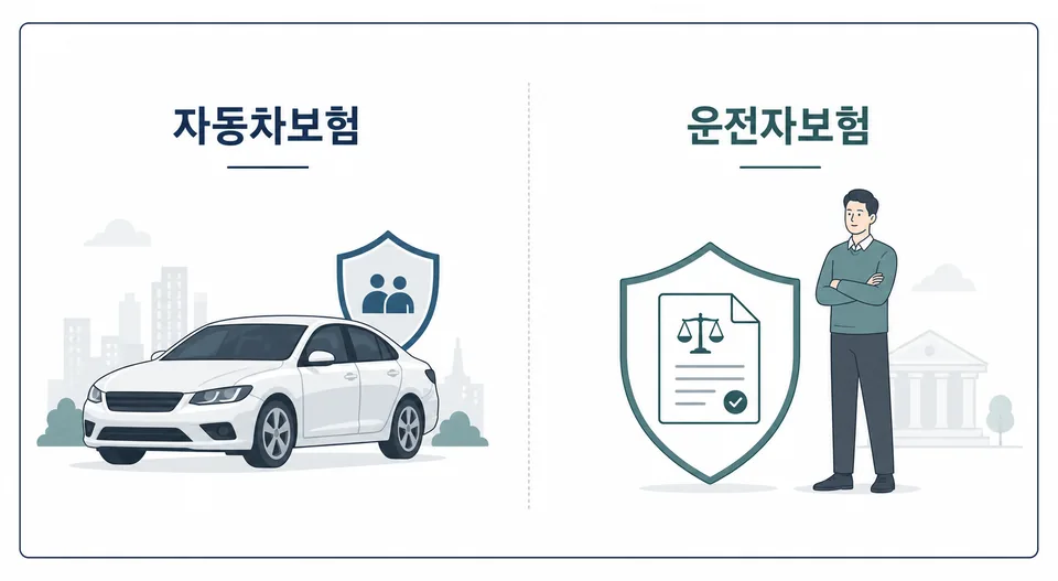 자동차보험과 운전자보험의 보장 차이를 비교한 일러스트